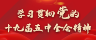 学习贯彻党的十九届五中全会精神